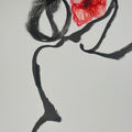 Mohn Dieu (handgezeichnet)