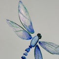 La Libelle (handgezeichnet)